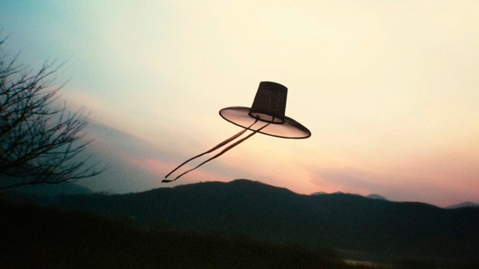 Night Fishing de Park Chan-Wook, Moho Films, KT olleh